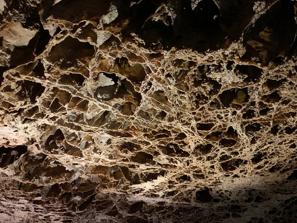 Wind Cave National&nbsp;Park