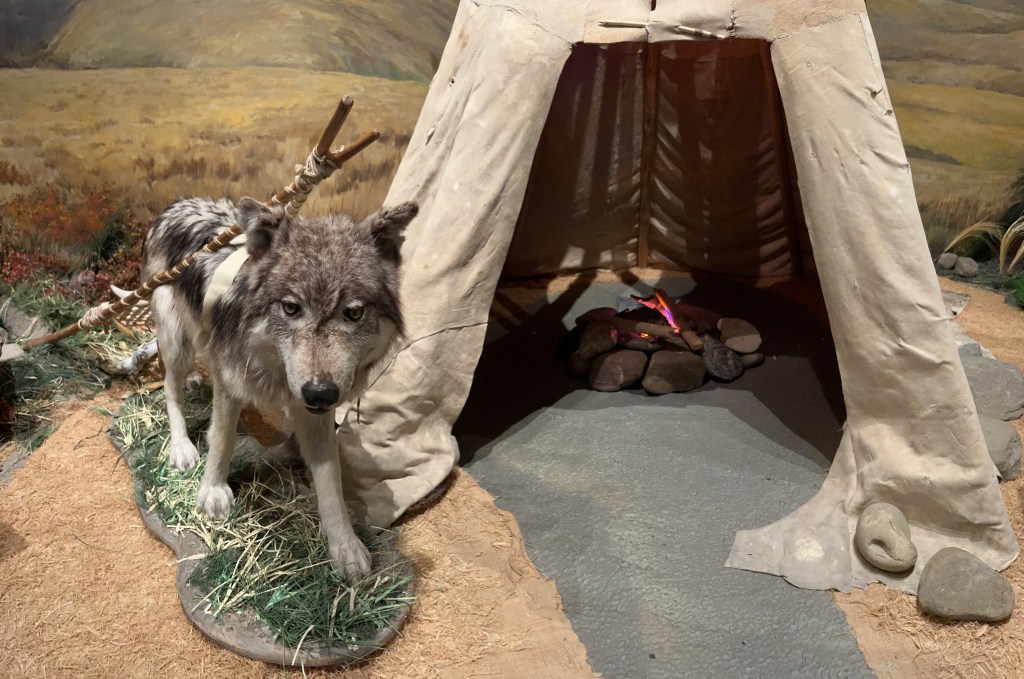 Head-Smashed-In Buffalo Jump