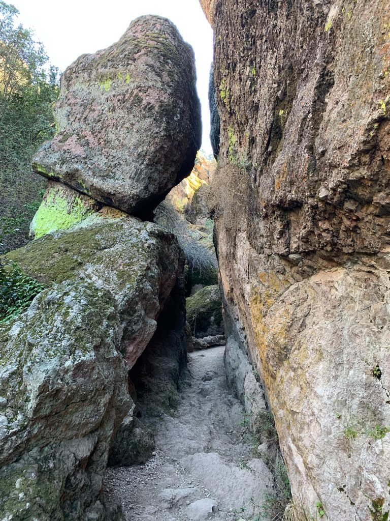 Pinnacles National Park