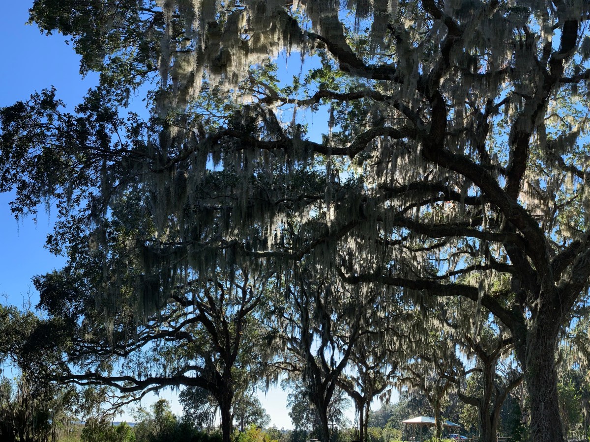 Reconstruction Era National Historical&nbsp;Park